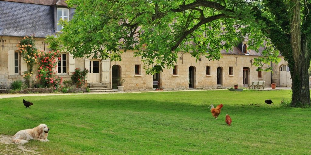 domaine-bois-saint-mard